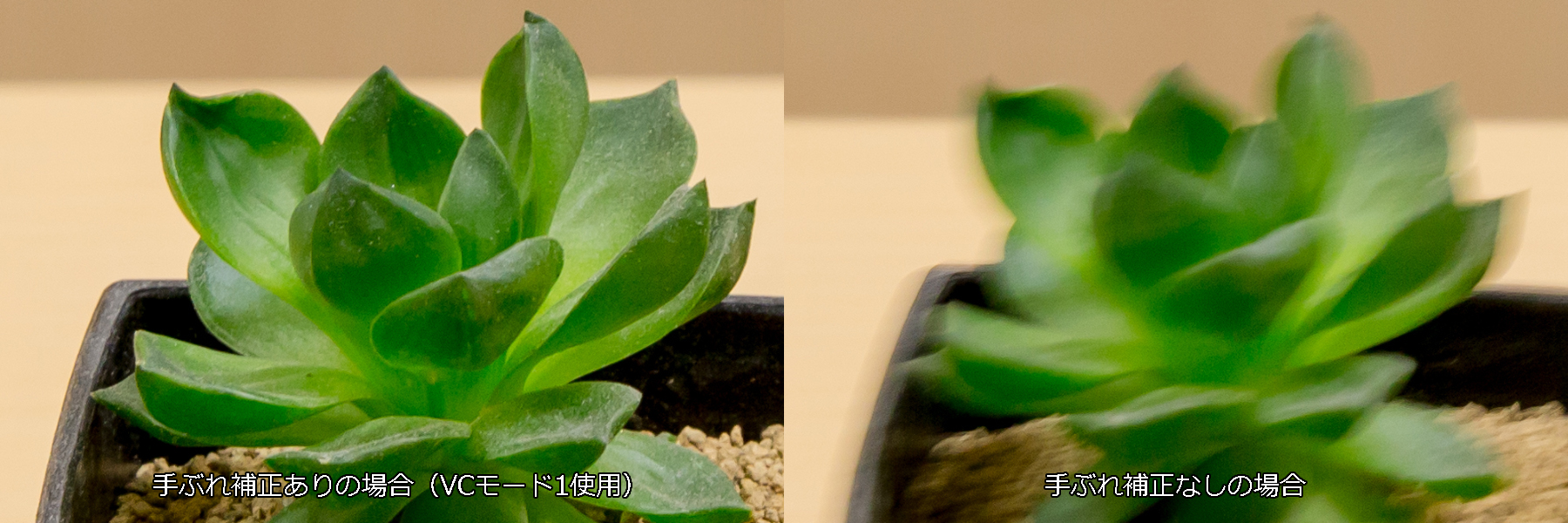 TAMRON 70-200mm F/2.8 G2 手ぶれ補正比較