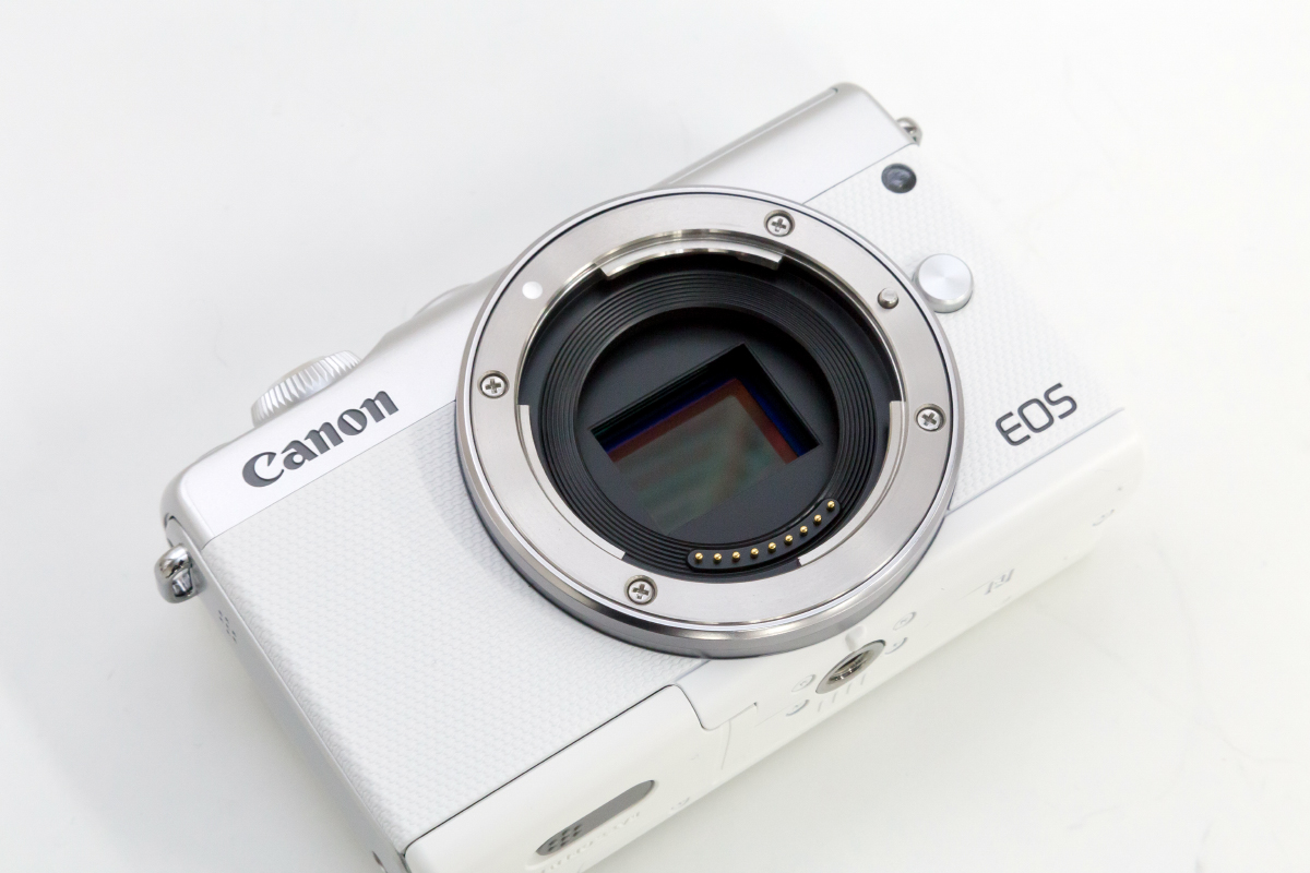 キヤノン「EOS Kiss M」と「EOS M100」を徹底比較!最新入門 キヤノン「EOS Kiss M」と「EOS M100」を徹底比較!最新入門