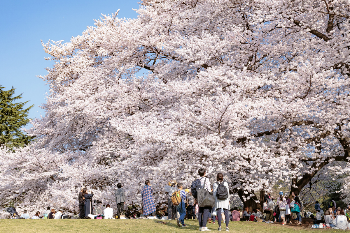 風景写真　高画質