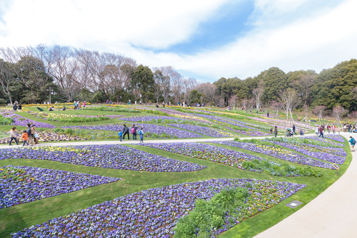 広角レンズ　風景写真