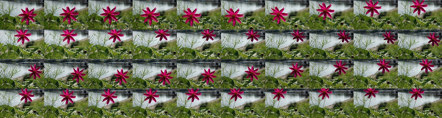 DSC-RX100M6 高速連写