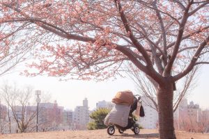 新生児ベビーカー