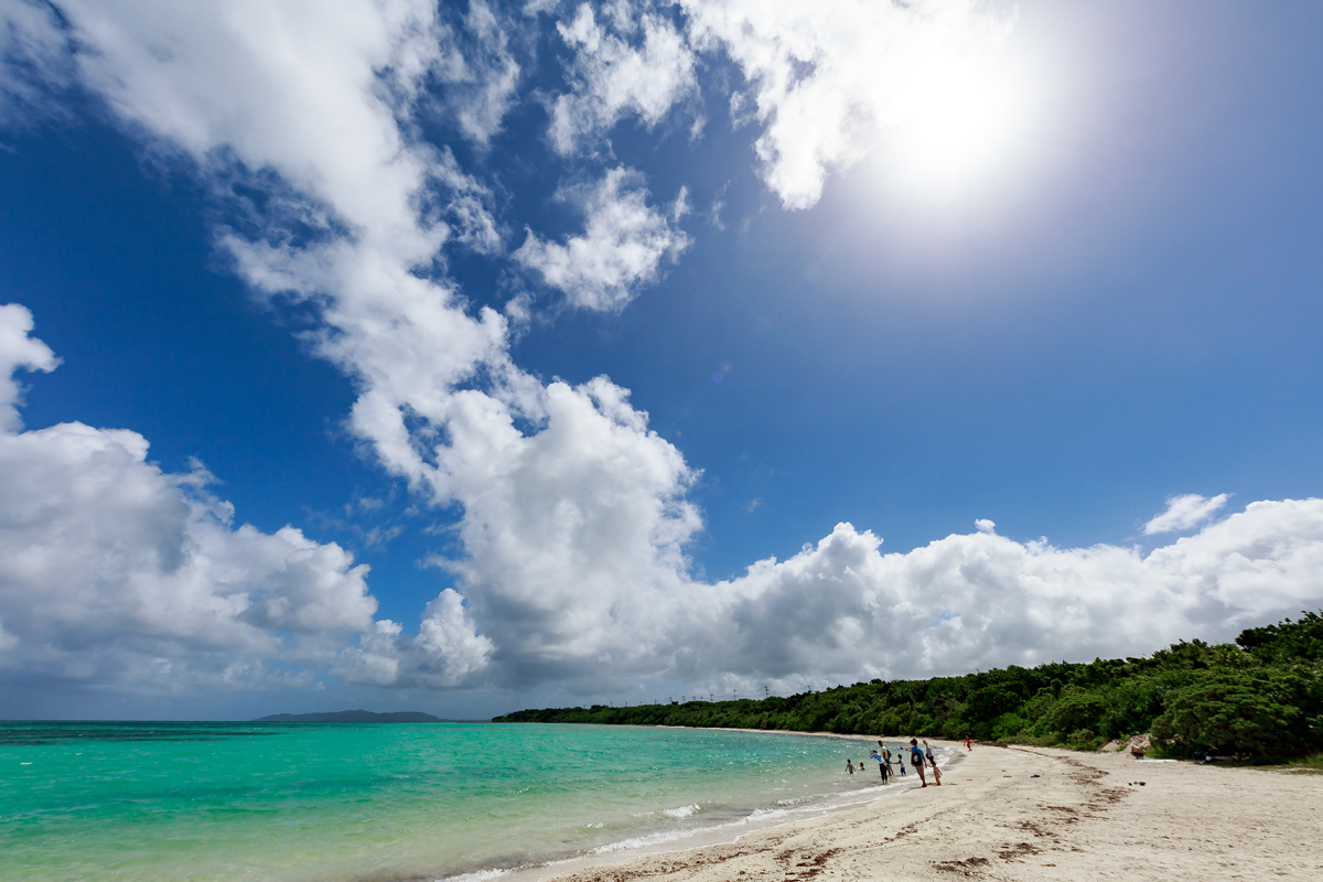 SIGMA 12-24mm F4 DG HSM　逆光耐性