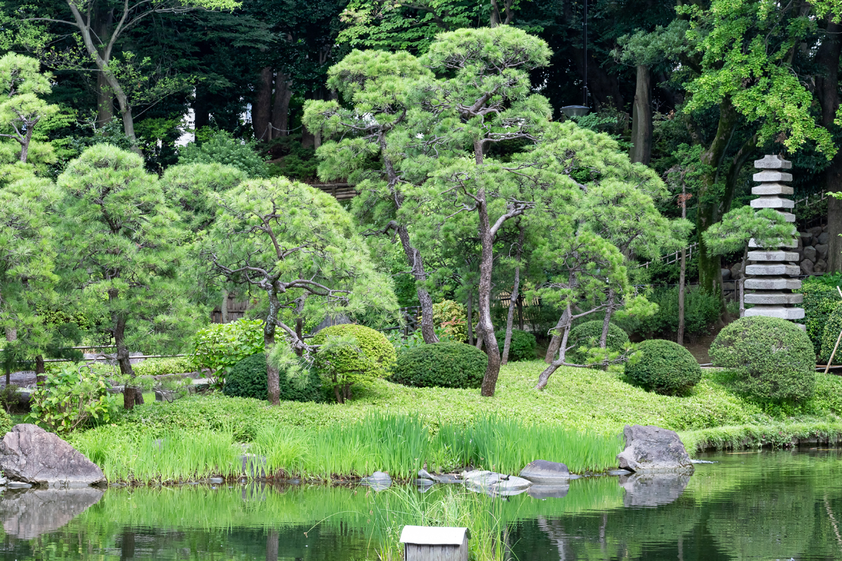 SIGMA 135mm F1.8 解像力