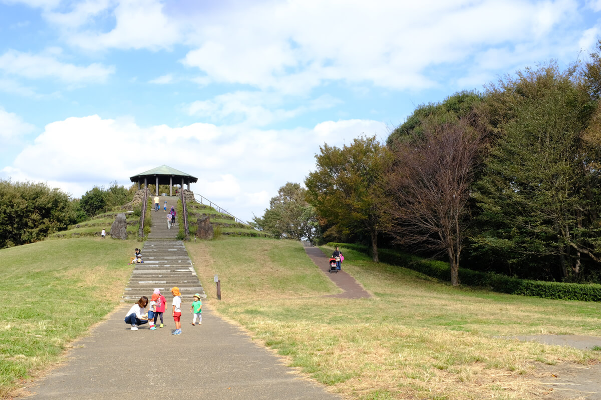 FUJIFILM X100F 35mm 単焦点