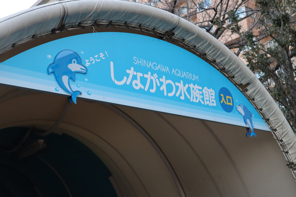 しながわ水族館
