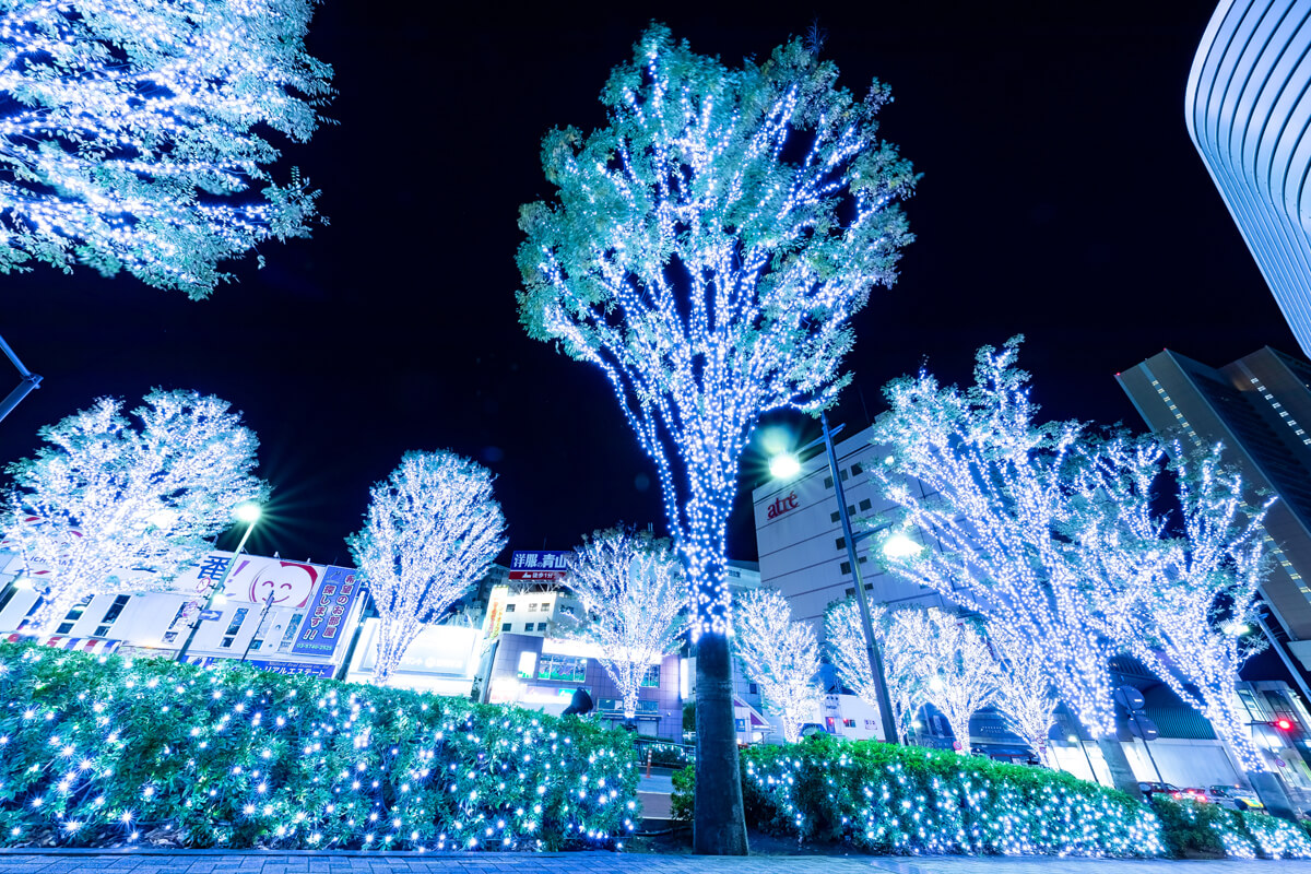 一眼カメラ 夜景撮影