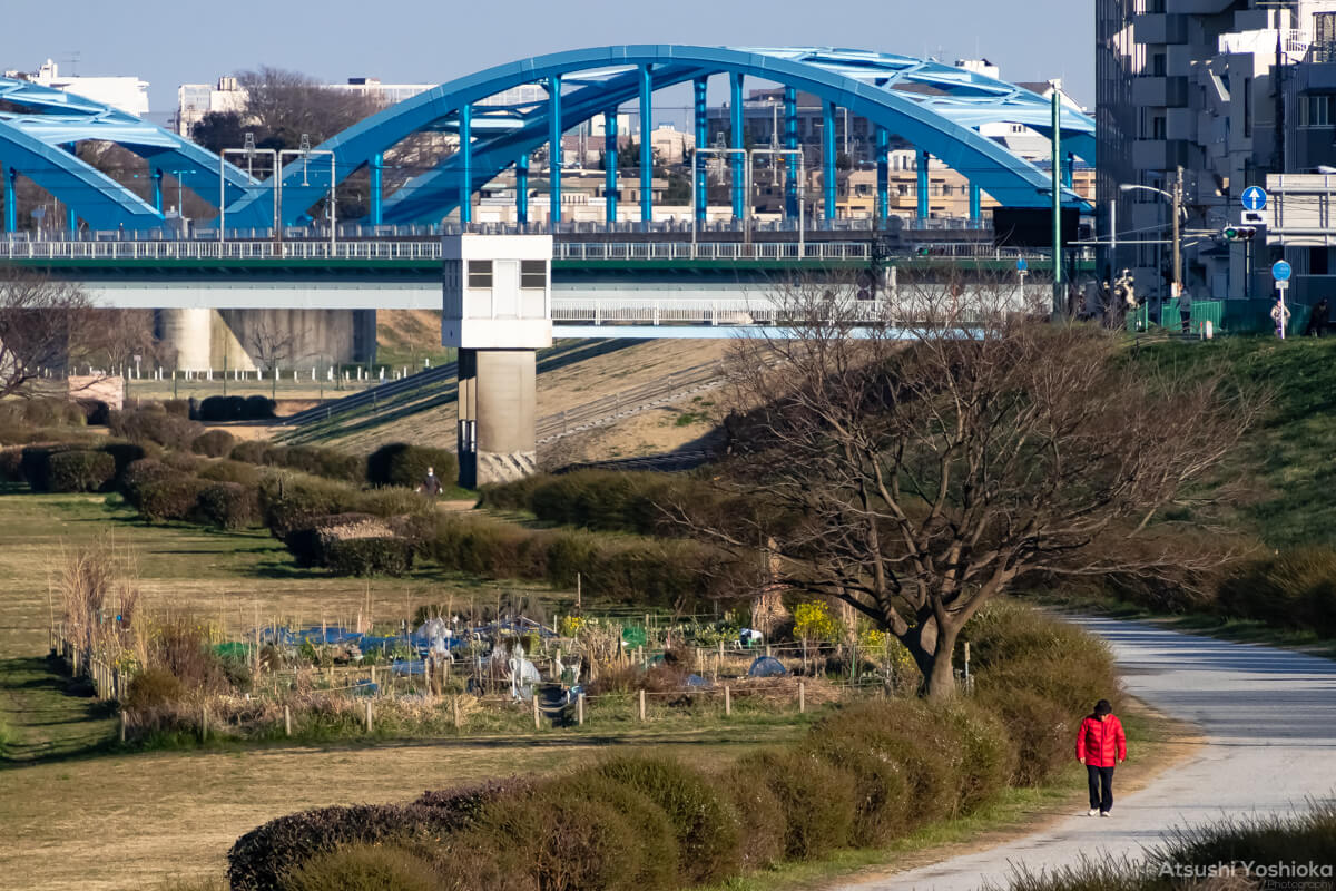 TAMRON 18-400mm F/3.5-6.3 Di II VC HLD 圧縮効果