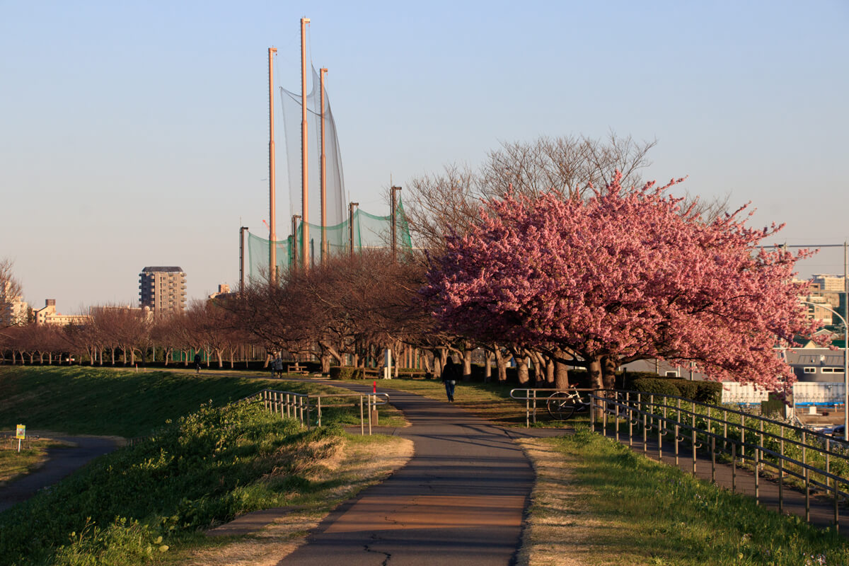 SIGMA 18-300mm F3.5-6.3 DC MACRO OS HSM 風景写真