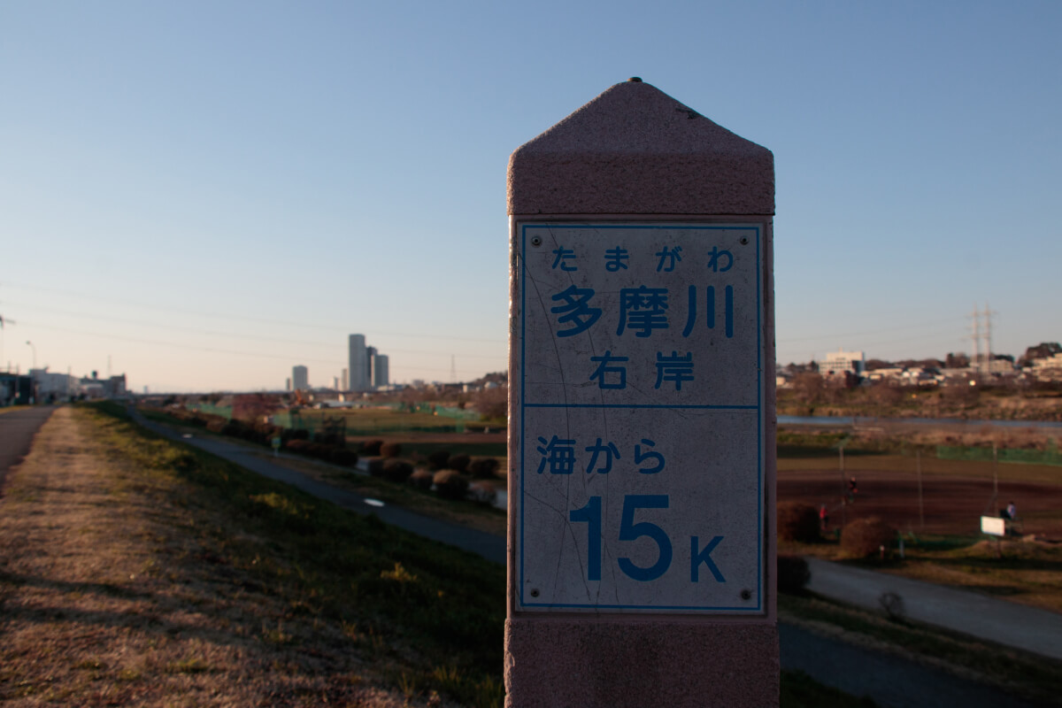 SIGMA 18-300mm F3.5-6.3 DC MACRO OS HSM クローズアップ
