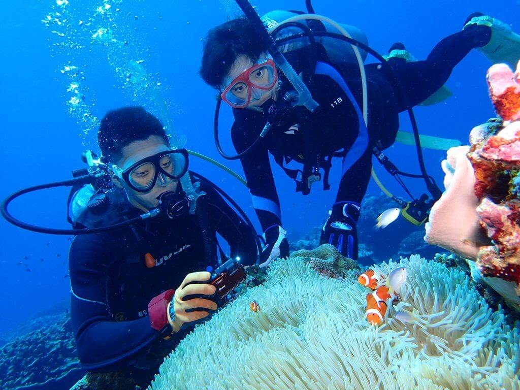 ダイビングに最適な水中カメラの選び方 手軽さのカギ！防水ハウジングの有無