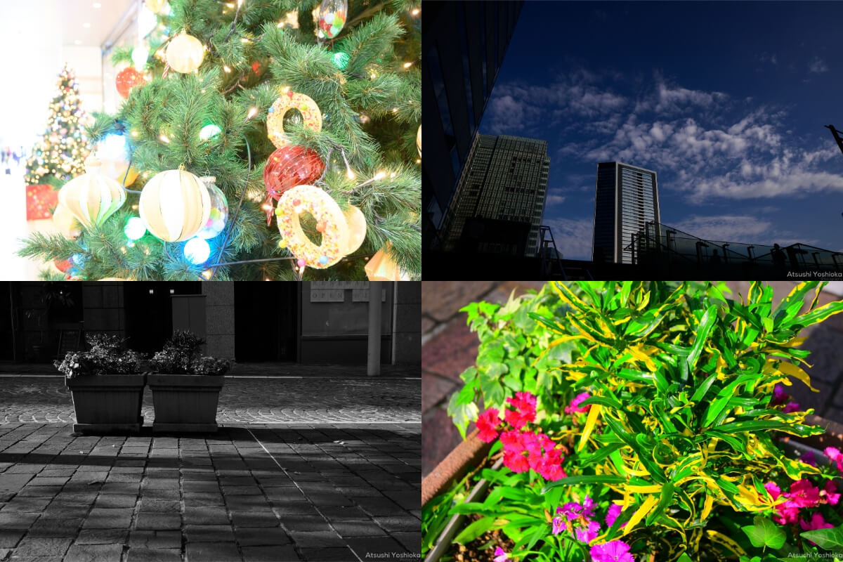Nikon Z50 Creative Picture Control
