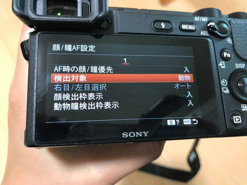 まず始めにやっておくべきカメラの基本設定 2. 動物瞳AFをONにする