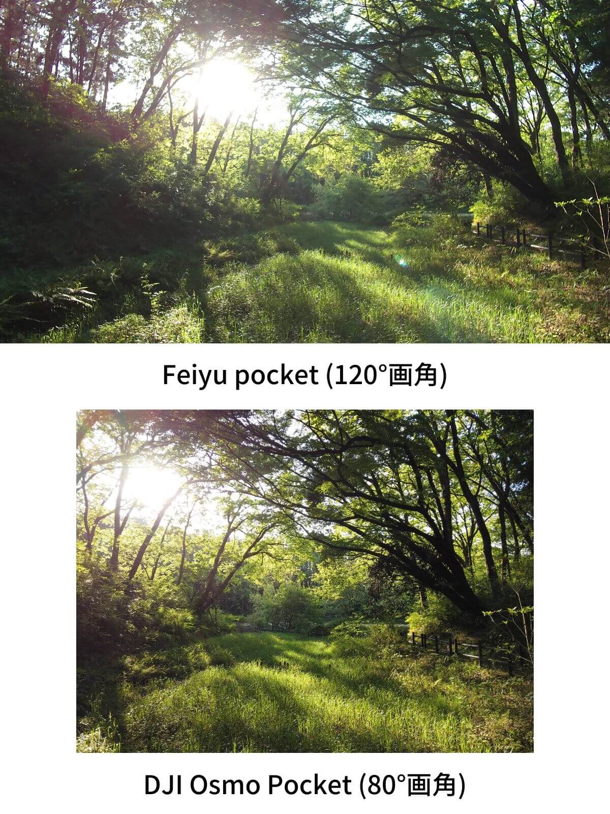 Feiyu pocket DJI Osmo Pocket 画角比較