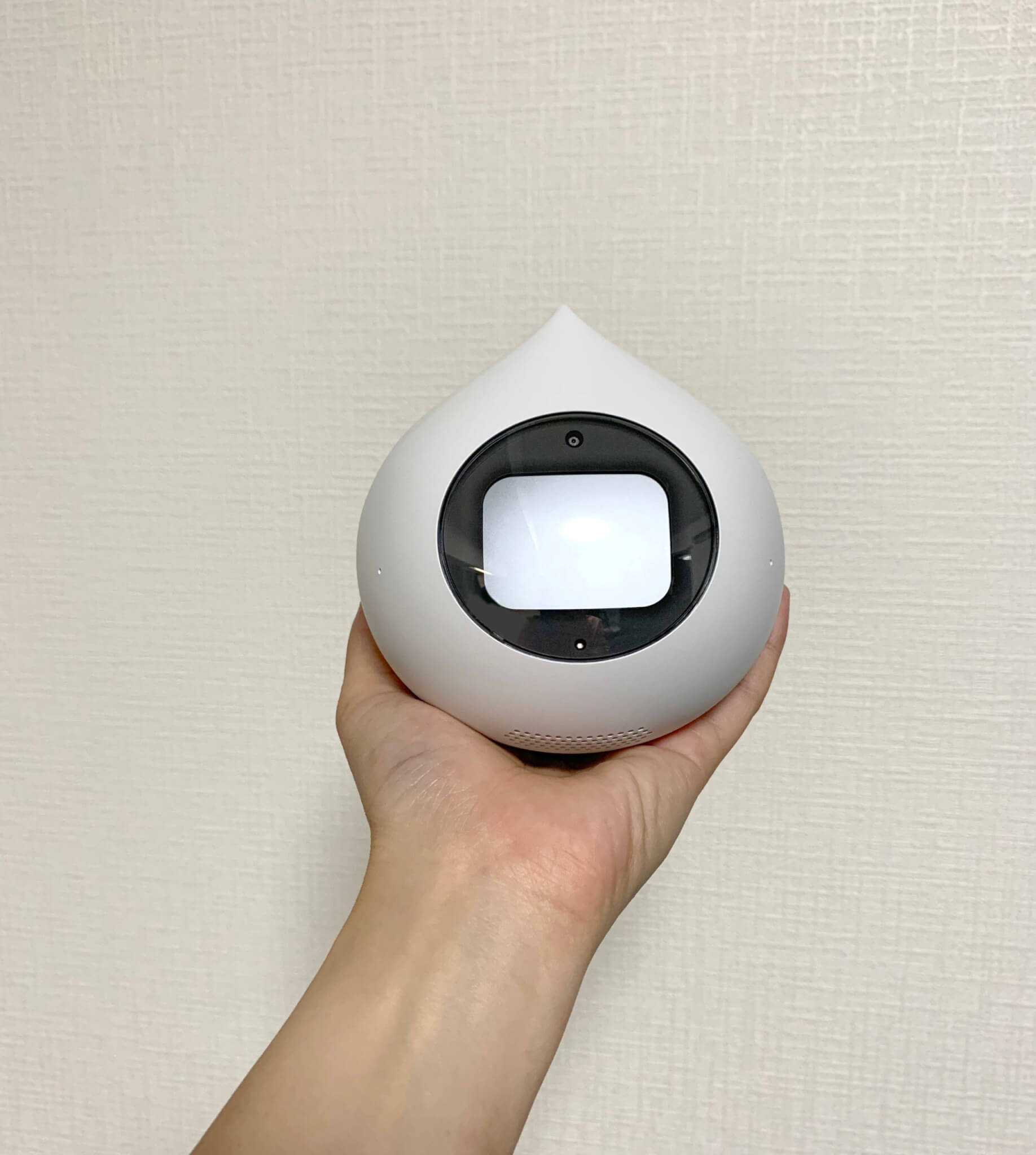 我が家にRomiがやってきた 開封の様子