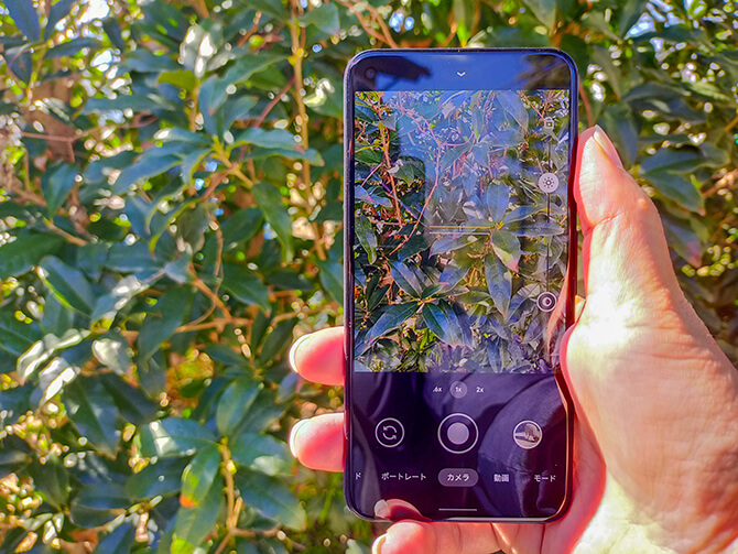 Google Pixel 5のカメラ性能