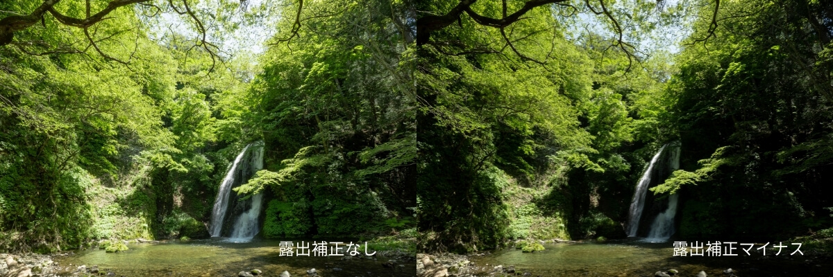露出補正 比較