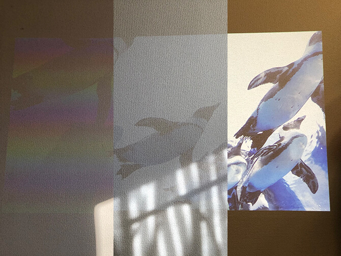 BenQ GS50の輝度