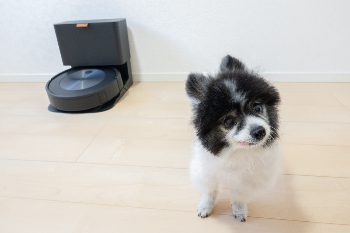ルンバ j7+を実際に使ってレビュー　障害物回避実験 1. 犬のうんち