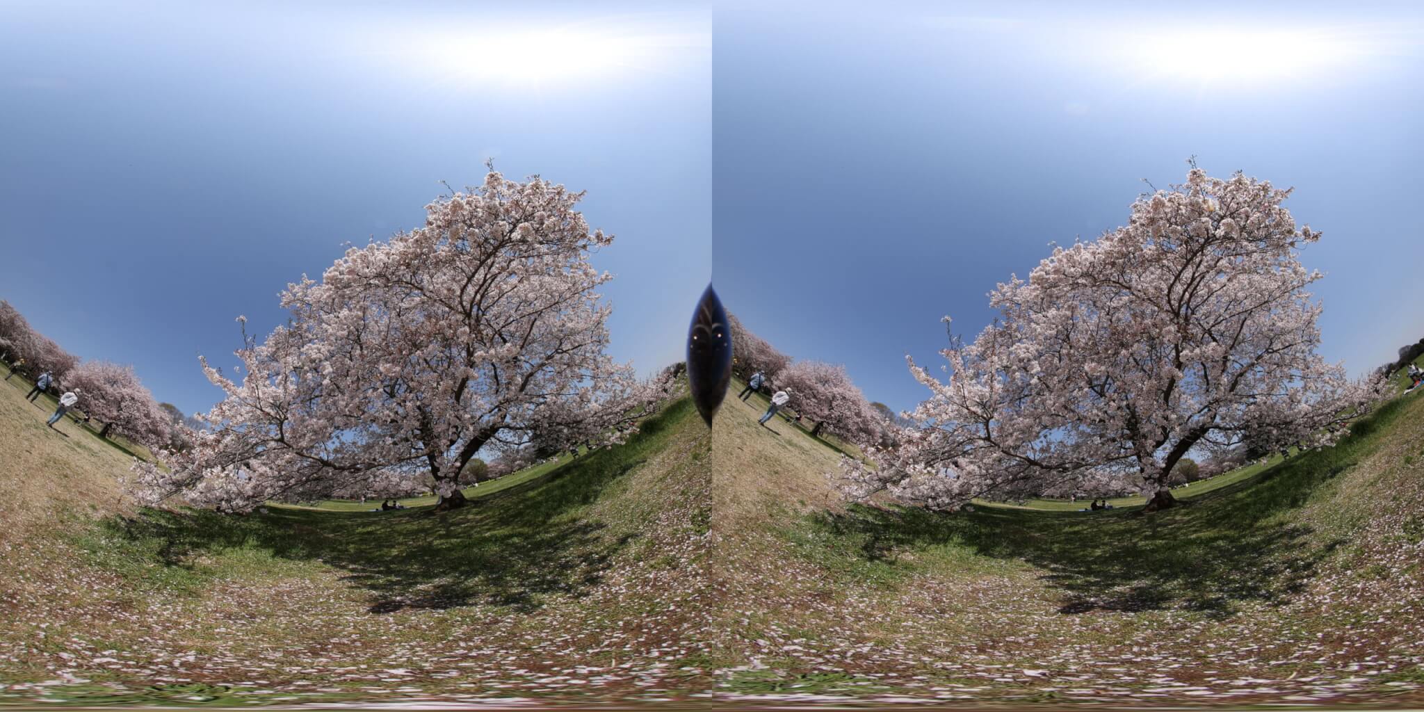 Canon RF5.2mm F2.8 L DUAL FISHEYE 静止画も撮影可能
