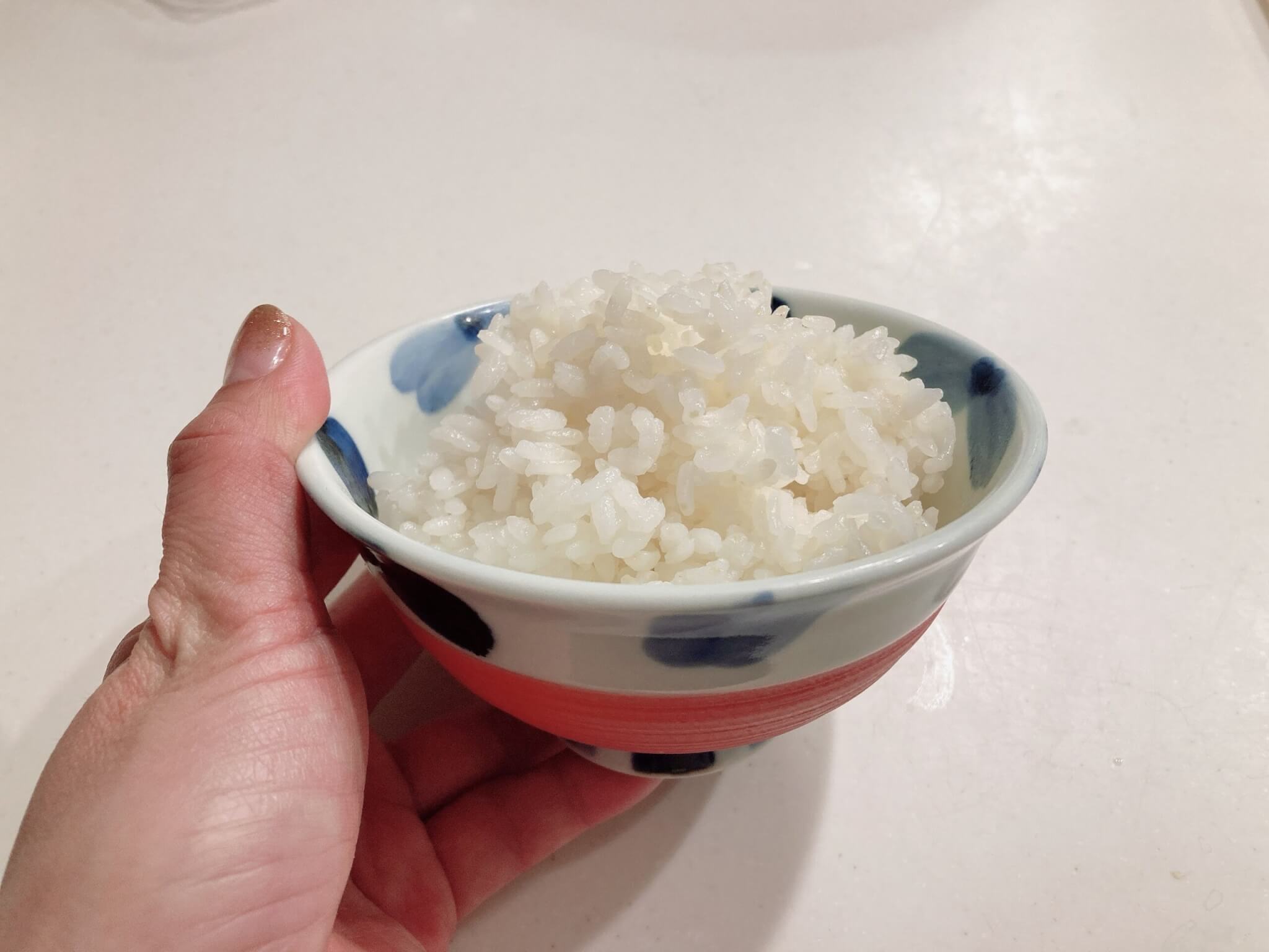 パナソニック エレック 冷凍ご飯あたため