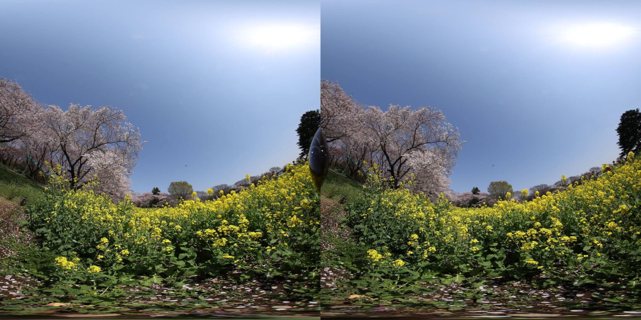 Canon RF5.2mm F2.8 L DUAL FISHEYE 静止画も撮影可能