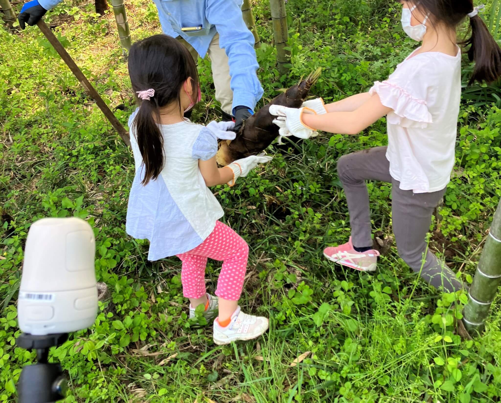 親戚とタケノコ堀り