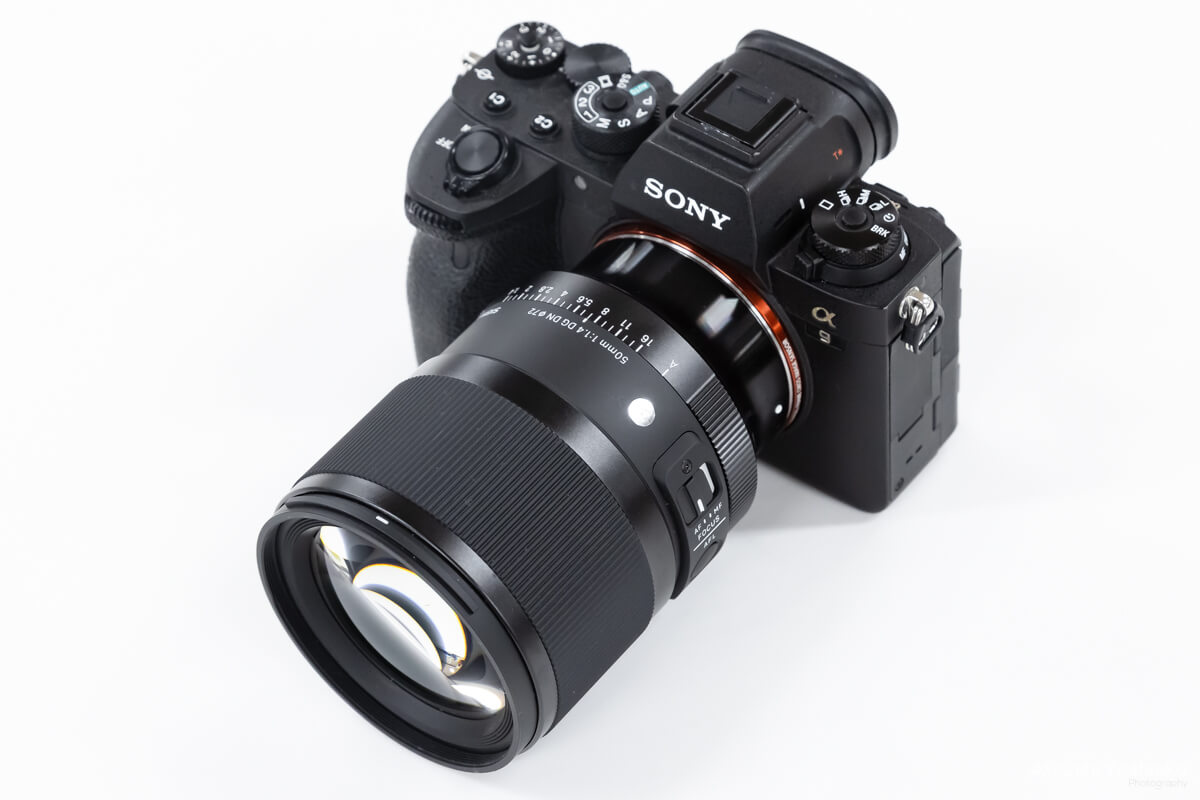 ごはん 撮影 標準単焦点レンズ