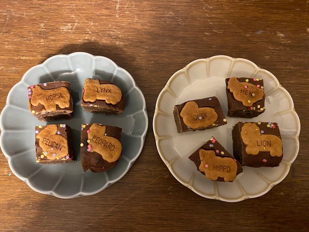 パナソニック オーブンレンジ NE-MS4Aで焼いたチョコブラウニー