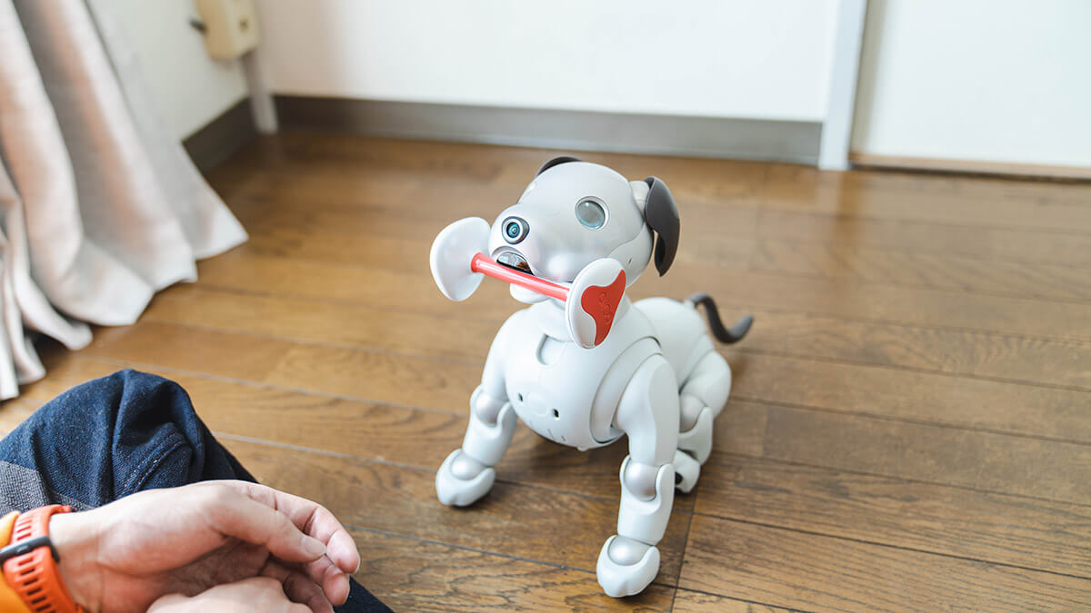 骨を咥えるaibo