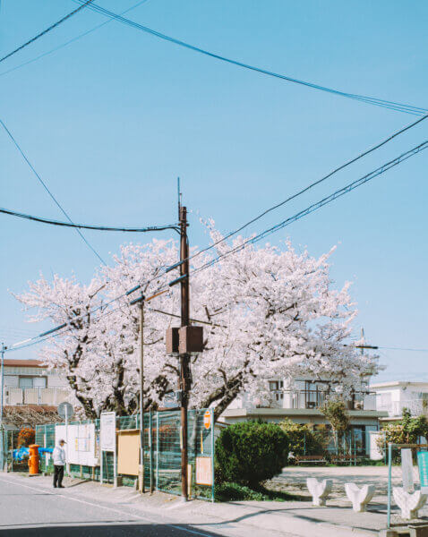 FUJIFILM X-Pro3の作例