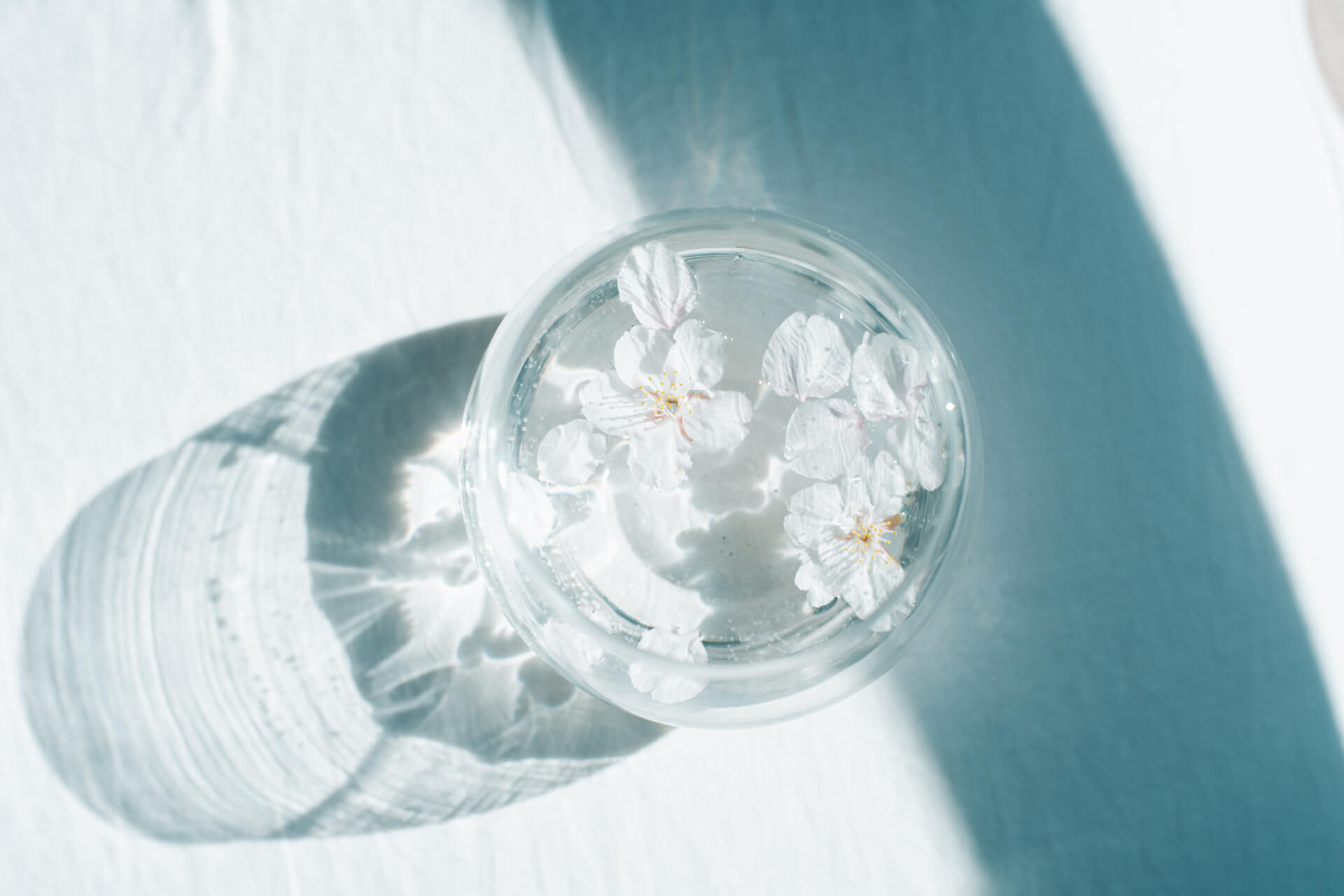 「SONY α7III」作例