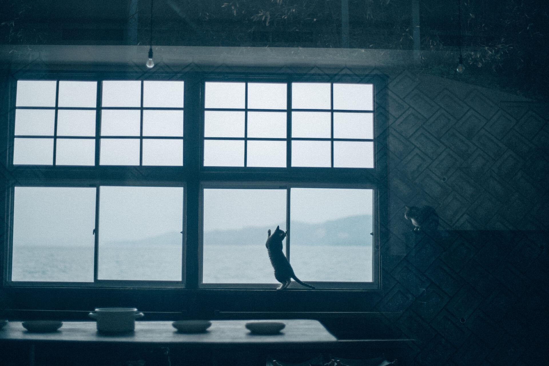 「SONY α7III」作例