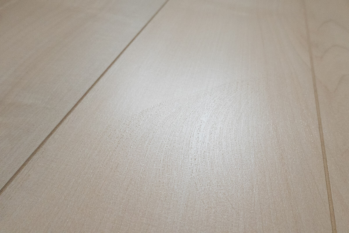 Eufy Clean X9 Proを実際に使ってみた 吸引+水拭き掃除の様子