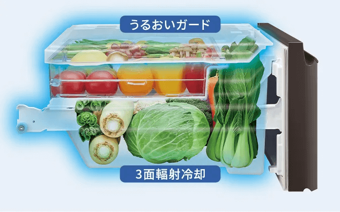 シャープの冷蔵庫の選び方　野菜が長持ち「雪下シャキット野菜室」