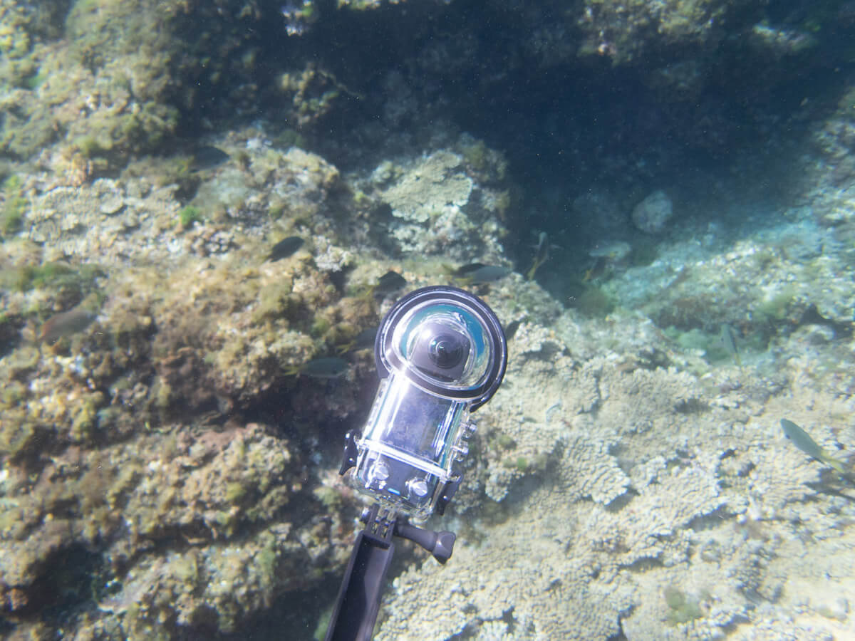 「Insta360 X3」で水中撮影を試してわかった注意点やコツ