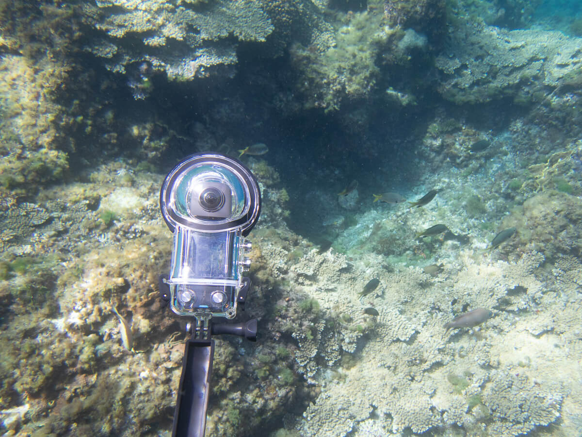 まとめ：Insta360 X3で360度水中撮影を楽しもう！