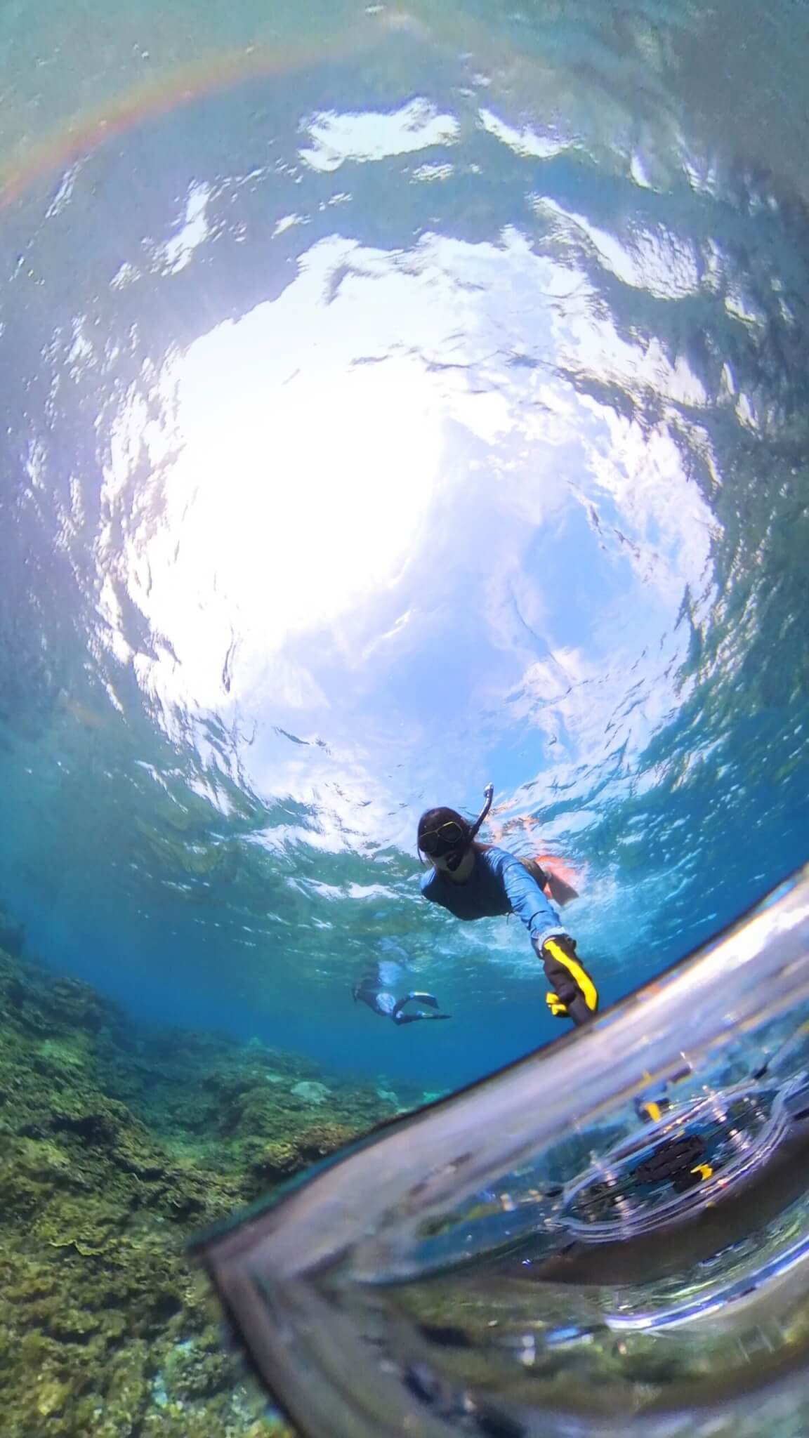 「Insta360 X3」で水中撮影してみた！ 編集で切り出した静止画の作例