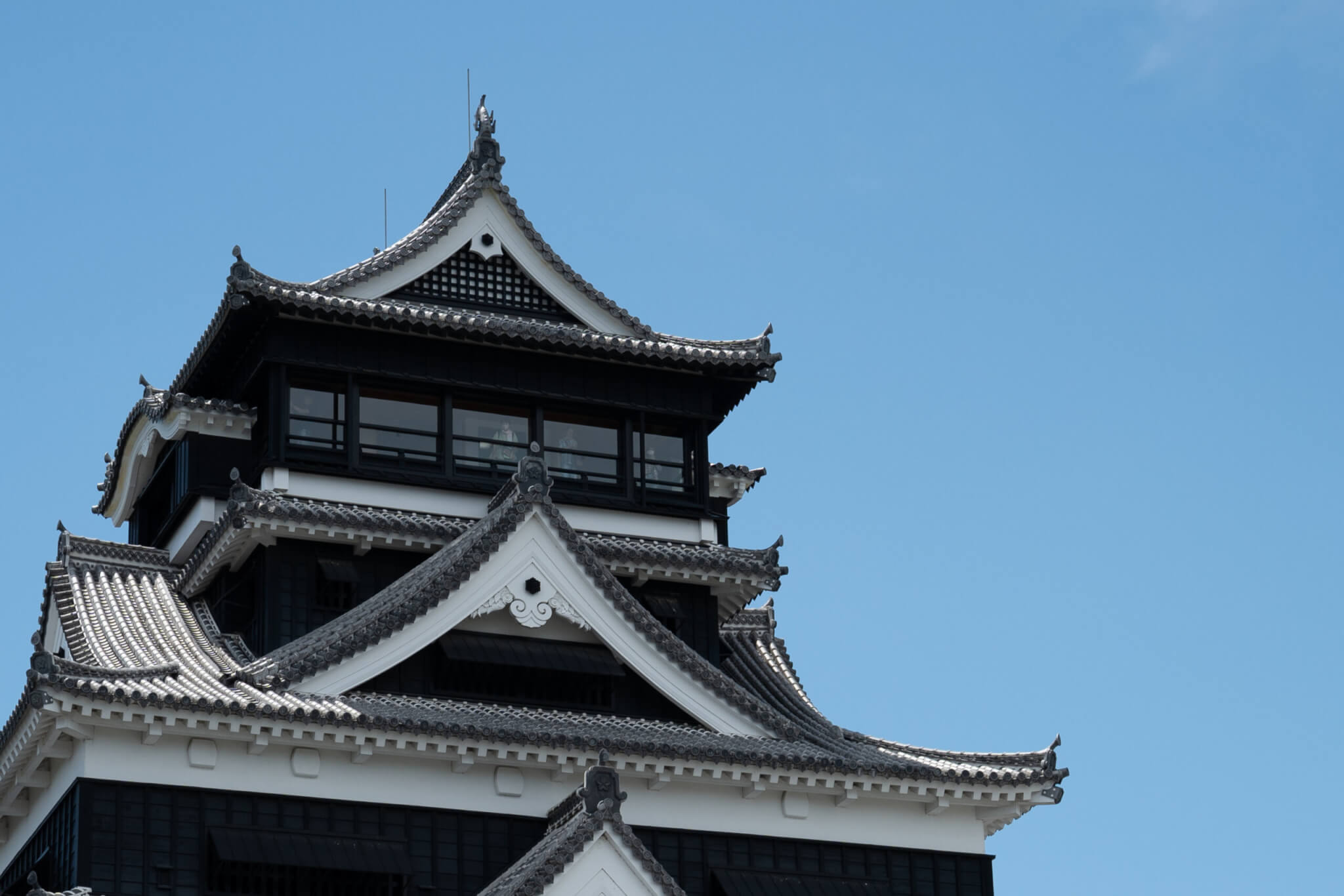 SONY FE 50mm F1.4 GM
作例　拡大
