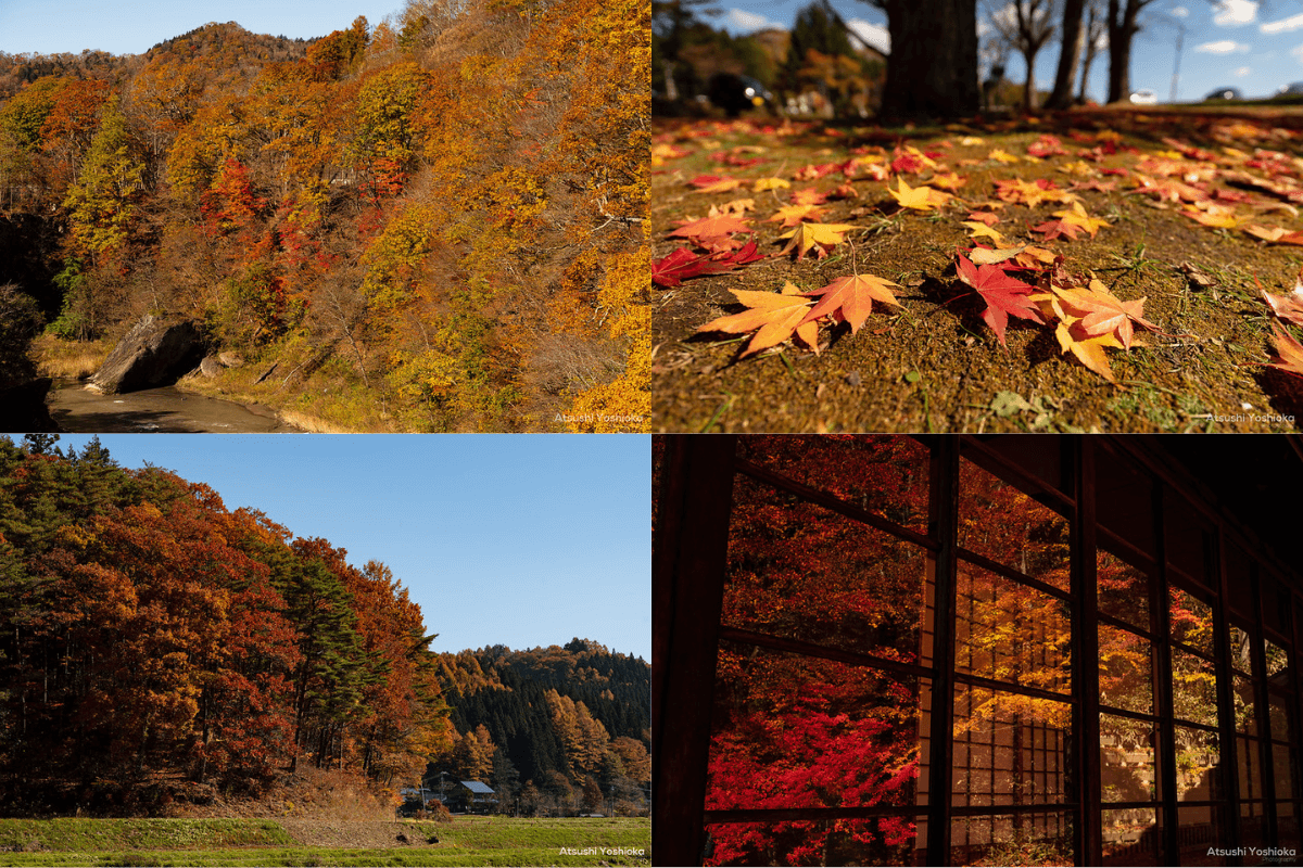 紅葉 撮影 テクニック