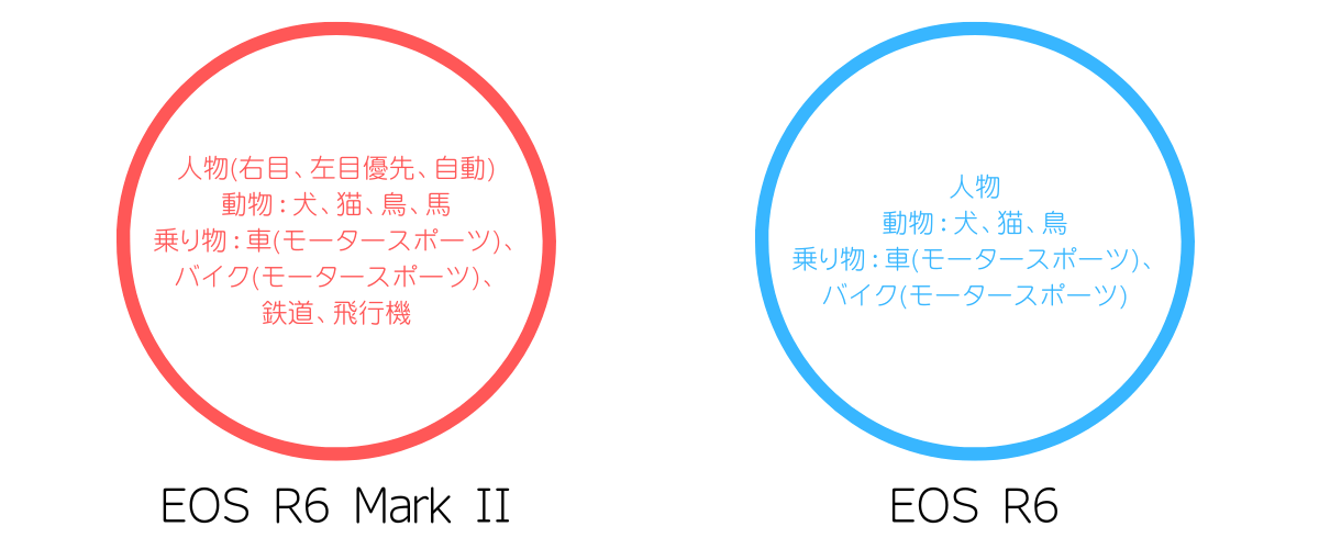 EOS R6 Mark II EOS R6 AF性能 違い