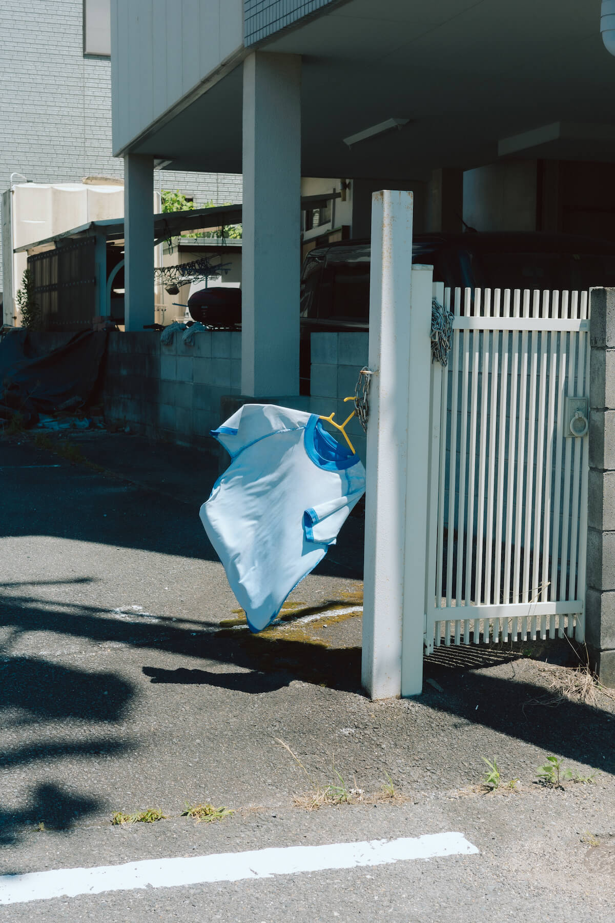 RICOH GR IIIxの作例