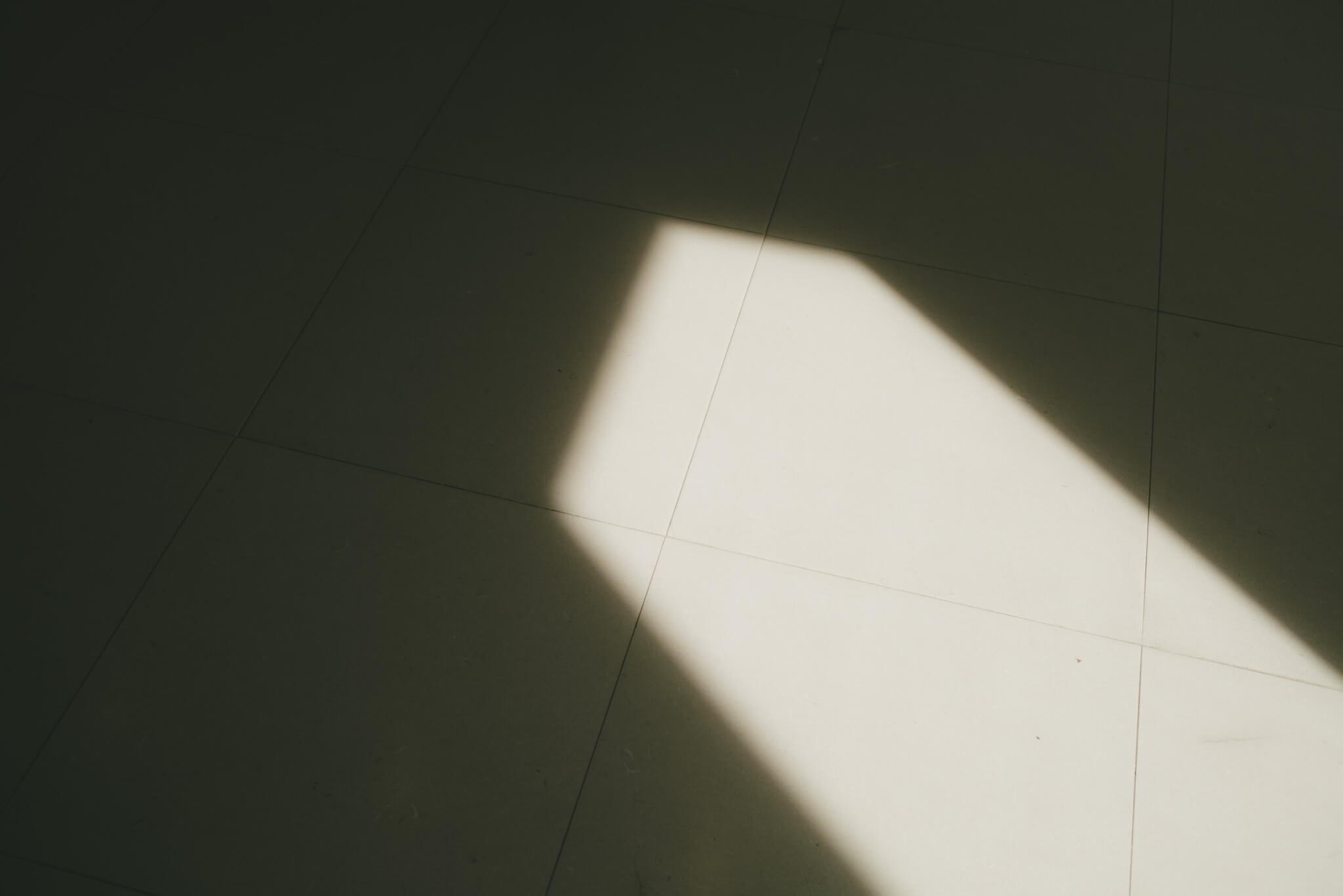 FUJIFILM X100Vの作例