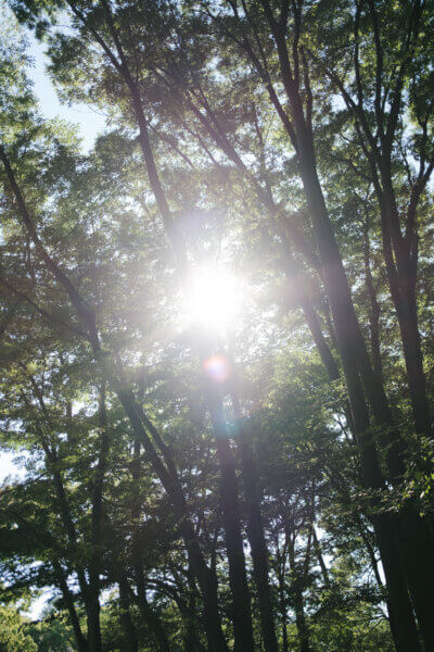 FUJIFILM X100Vの作例