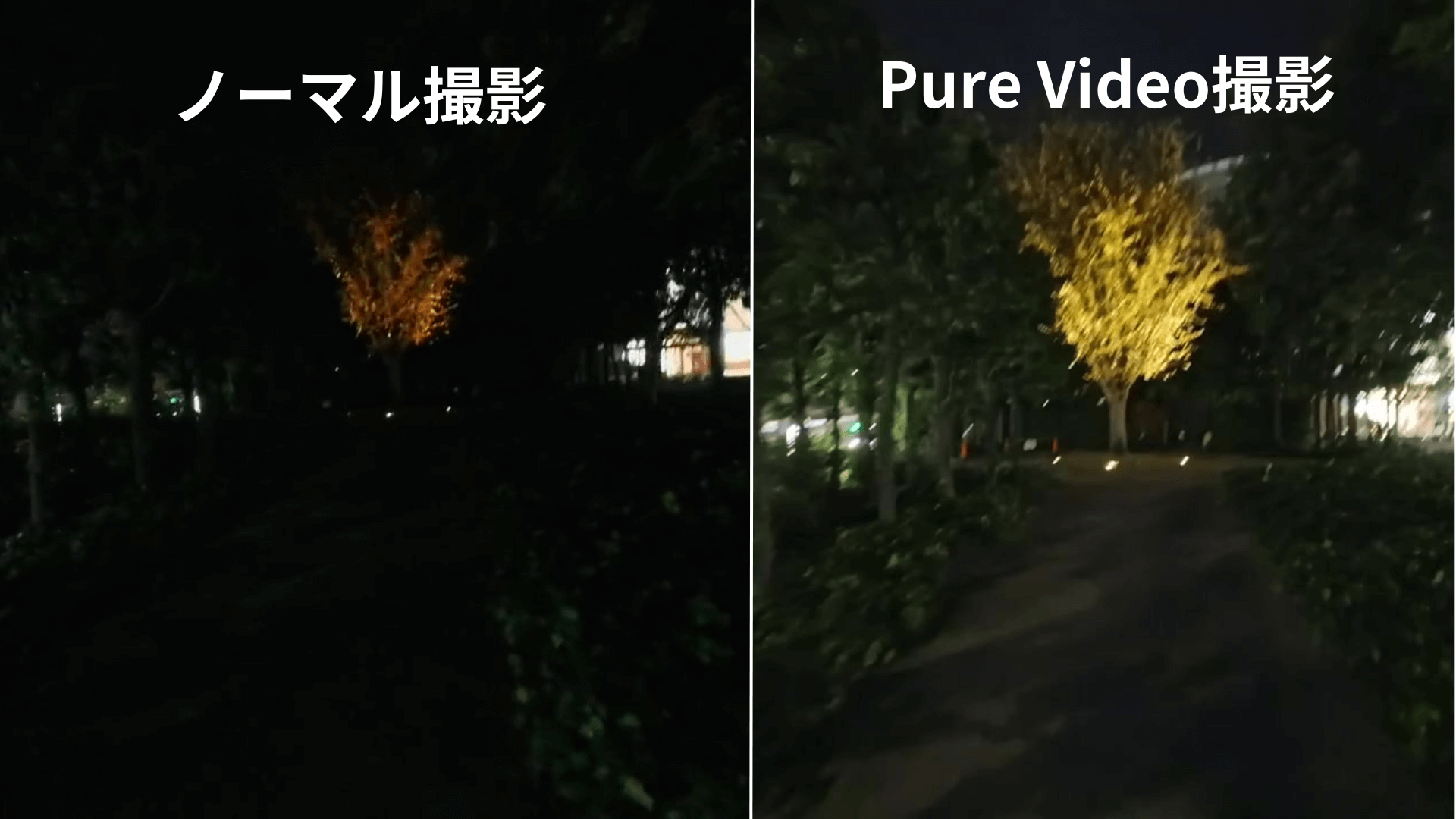 insta360 AcePro PureVideo撮影