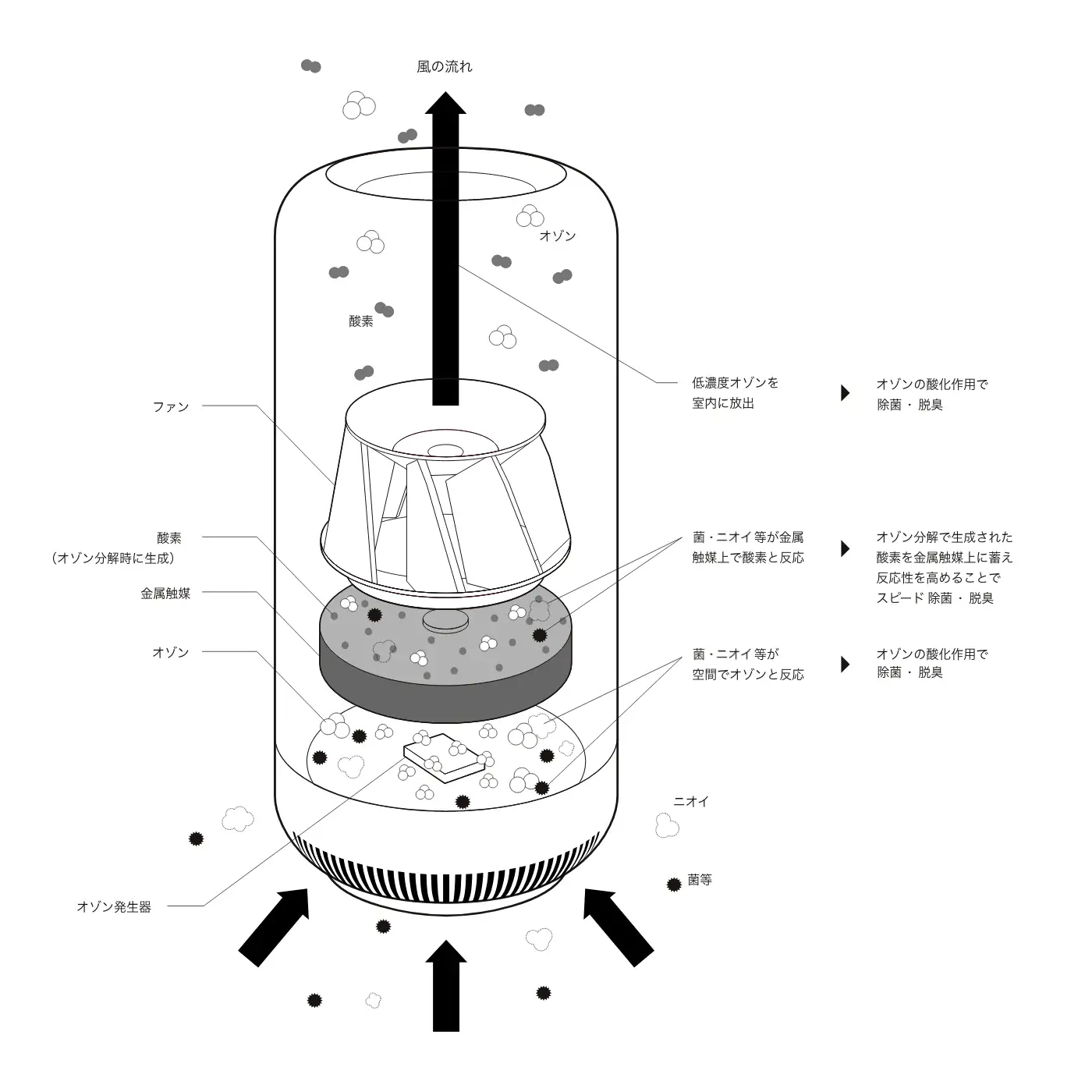 cado(カドー)の除菌脱臭機 SAP-002をレビュー!生活臭の対策に cado(カドー)の除菌脱臭機 SAP-002をレビュー!生活臭の対策に
