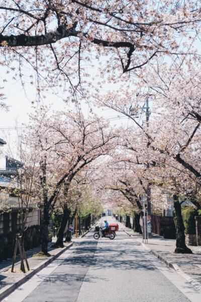 Leica M10の作例
