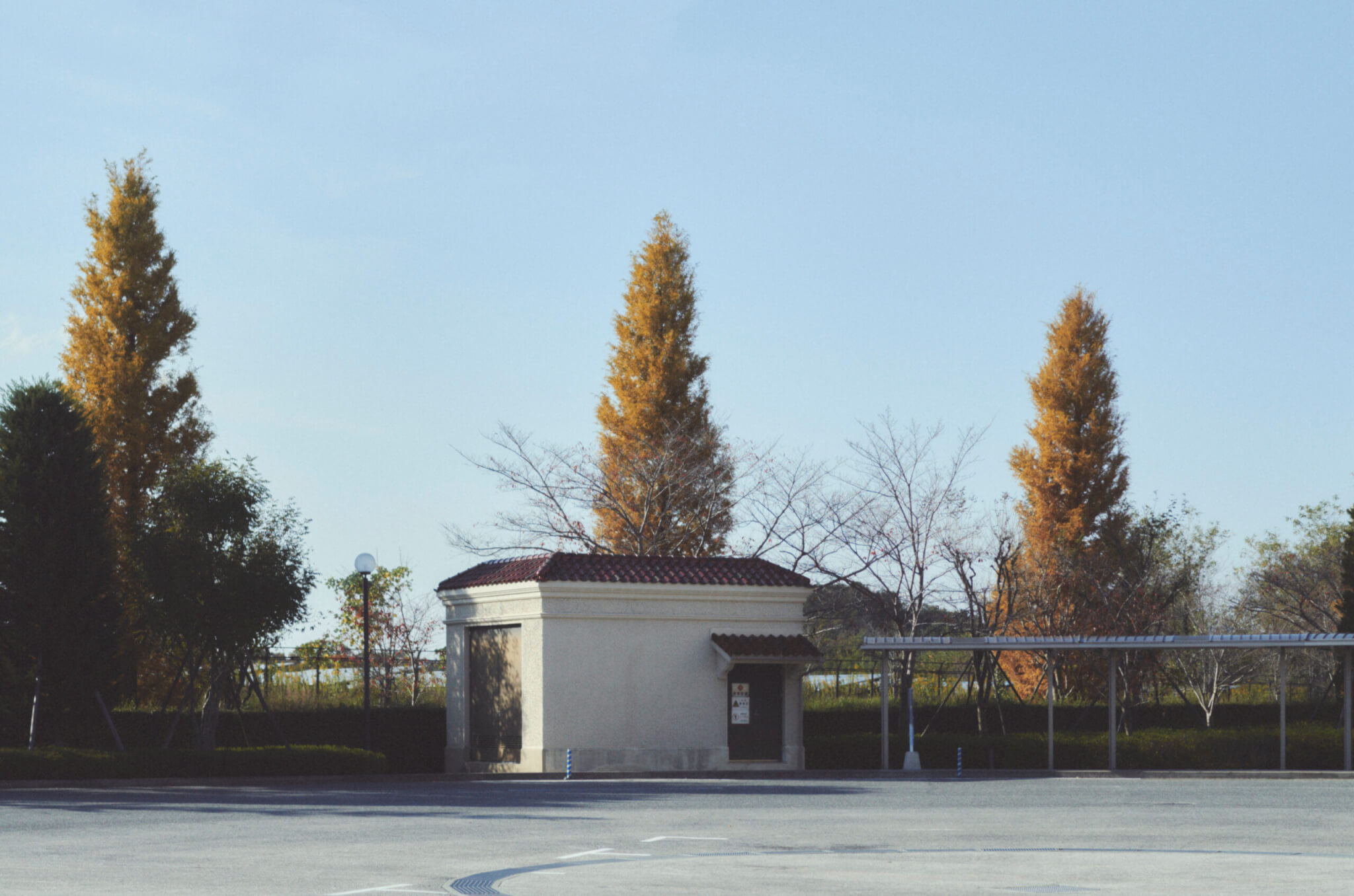 Leica Tの作例写真