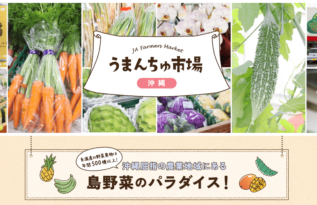 沖縄 お土産