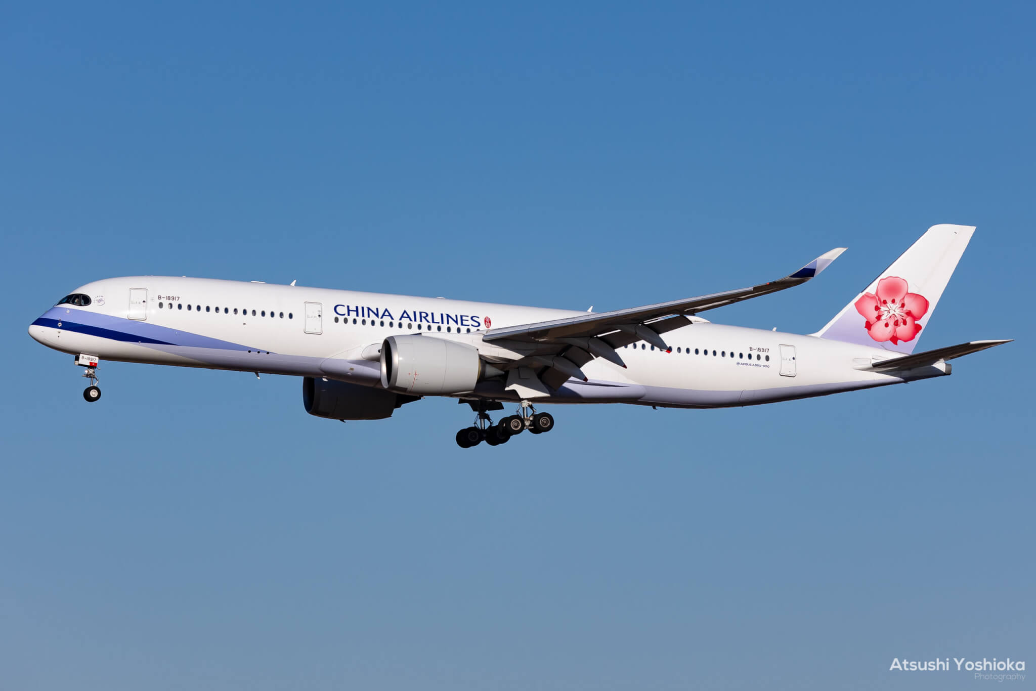 エアバス A350 快適